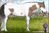 Horse Color:Bay Dun Tobiano Frame
