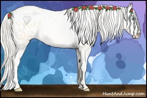 Horse Color: Palomino Pearl Dun Blanket 