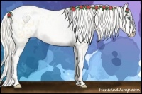 Horse Color:Palomino Pearl Dun Blanket 