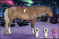 Horse Color:Silver Black Tobiano 