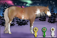 Horse Color:Silver Black Sabino 