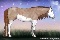 Horse Color:Red Roan Splash 