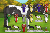 Horse Color:Smoky Black Sabino Tobiano 