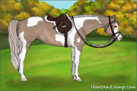 Horse Color:Silver Grullo Sabino Tobiano 
