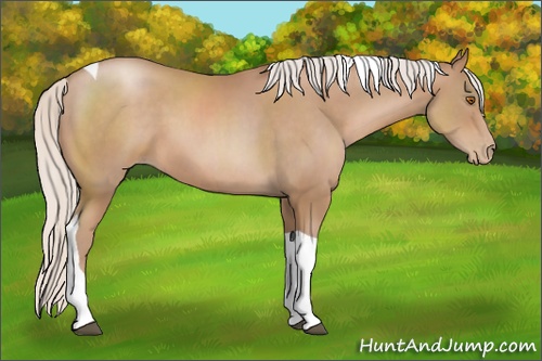 Horse Color: Silver Black Pearl Sabino Tobiano 