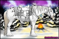 Horse Color:Smoky Black Splash Appaloosa 