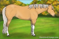 Horse Color:Silver Buckskin Tobiano 