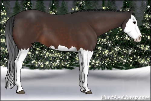 Horse Color: Brown Splash 