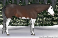 Horse Color:Brown Splash