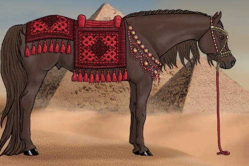 Horse Color: Liver Chestnut 