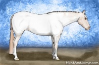 Horse Color:Red Roan Snowcap 