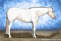Horse Color:Red Dun Tobiano Snowcap 