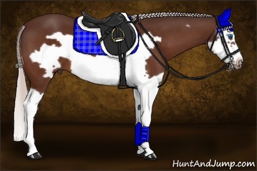 Horse Color:Silver Bay Splash Frame