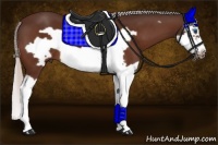 Horse Color:Silver Bay Splash Frame