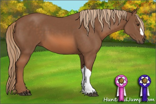 Horse Color: Chestnut 