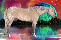 Horse Color:Silver Bay Ice Dun 