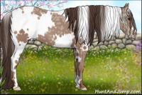 Horse Color:White Spotted Classic Champagne Ice