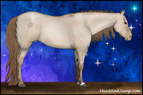 Horse Color: Grullo Pearl 