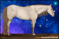 Horse Color:Grullo Pearl 