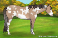 Horse Color:White Spotted Sable Champagne Frame