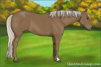 Horse Color:Silver Smoky Black 