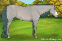 Horse Color:Watercolor Amber Cream Champagne 