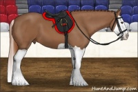 Horse Color:Chestnut Splash 