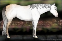 Horse Color:Gray Amber Cream Champagne 