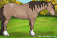 Horse Color:Sable Champagne 
