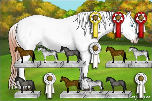Horse Color: White Spotted Bay Dun Splash Varnish Rabicano 