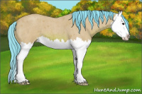 Horse Color:Watercolor Bay Roan Splash