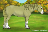 Horse Color:Watercolor Red Roan Splash 