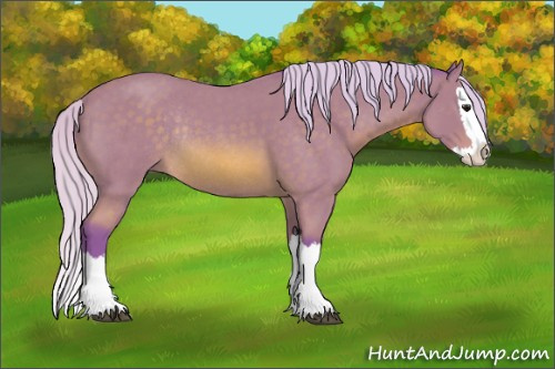 Horse Color: Watercolor Silver Bay Roan Splash Rabicano 
