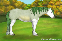 Horse Color:Watercolor Bay Roan Splash