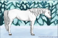 Horse Color:Gray Liver Chestnut Varnish 