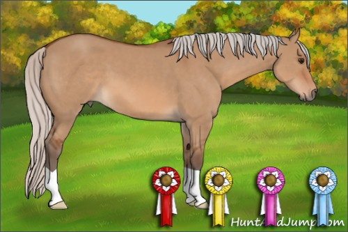 Horse Color: Silver Bay Dun 