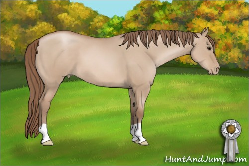 Horse Color: Grullo Pearl 