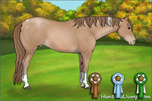 Horse Color: Black Pearl Sabino Tobiano 