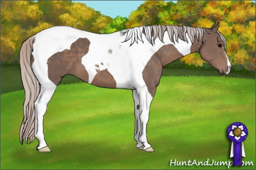 Horse Color: Silver Black Tobiano 