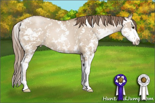 Horse Color: Grullo Pearl Sabino 