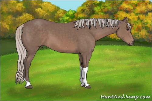 Horse Color: Silver Black Tobiano 