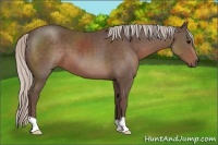 Horse Color:Silver Black 