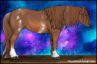 Horse Color:White Spotted Chestnut Sabino 