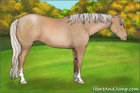 Horse Color:Silver Black Pearl Sabino 