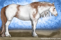 Horse Color:White Spotted Chestnut Sabino 