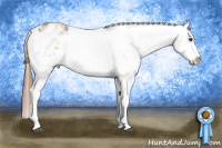 Horse Color:White Spotted Chestnut Sabino Appaloosa 