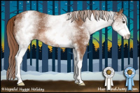 Horse Color:White Spotted Chestnut Sabino 