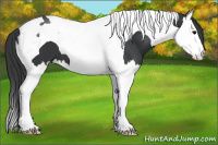 Horse Color:Black Splash Tobiano