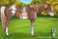 Horse Color:White Spotted Chestnut Sabino 