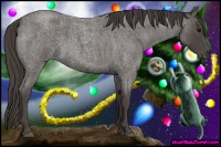 Horse Color:Smoky Blue Roan 